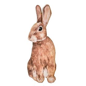 Στοιχείο Λαγός