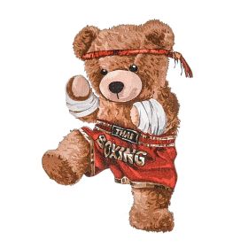 Στοιχείο Teddy Kick Box