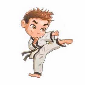 Στοιχείο Καράτε Boy